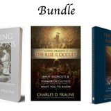 Slaying Dragons Bundle (paperback)